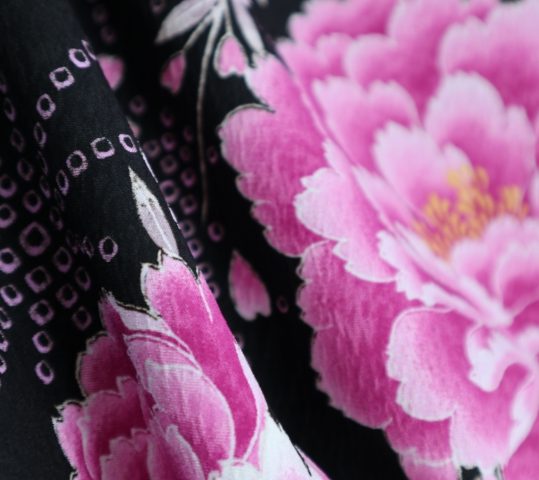 卒業式袴レンタルNo.597[4Lサイズ][新古典]黒・ピンク紫の牡丹桜